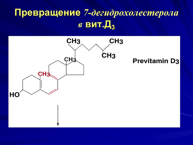 Превращение 7-дегидрохолестерола в вит.Д3 Превращение 7-дегидрохолестерола в вит.Д3